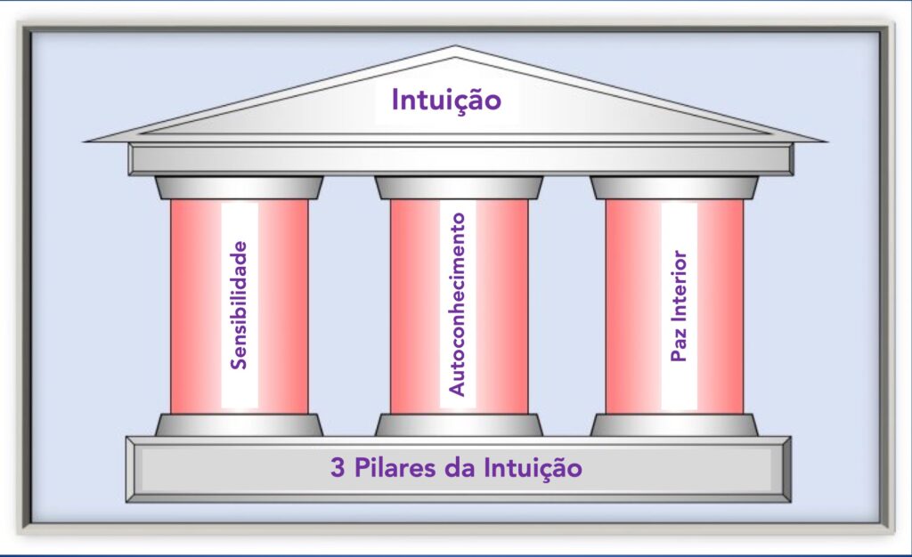 pilares de sustentação da intuição