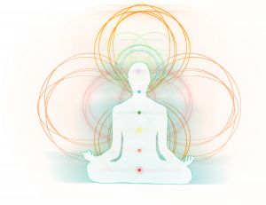 Maestria: quando há o diálogo entre a intuição e a razão