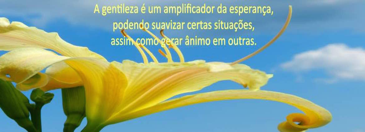 Gentileza, o poder sutíl de quem hospeda um grande coração (Audiovisual)