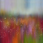 semente da espiritualidade