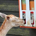 revendo convicções